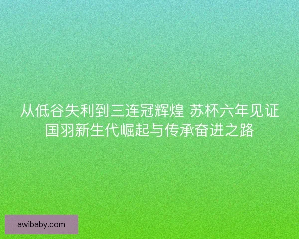 从低谷失利到三连冠辉煌 苏杯六年见证国羽新生代崛起与传承奋进之路